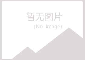 河池新蕾工程有限公司